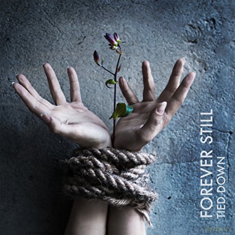 Forever Still: Tied Down (Limited Edition) [CD]+[DVD]