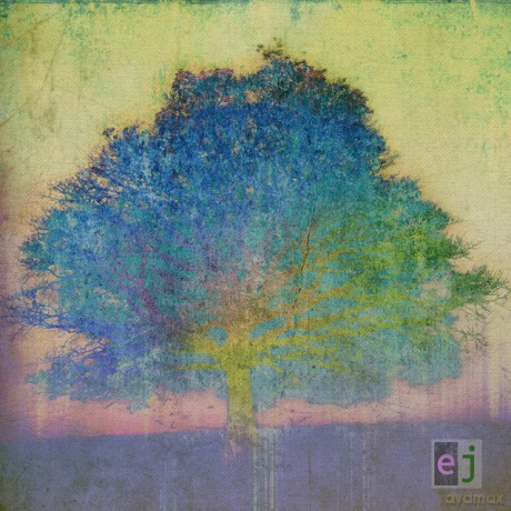 Eric Johnson: Ej [Winyl]