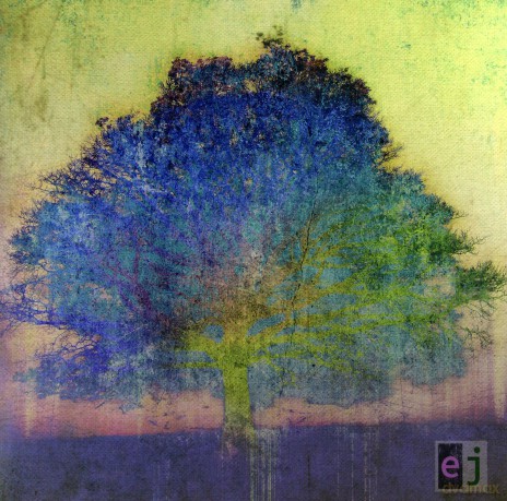 Eric Johnson: Ej [Winyl]