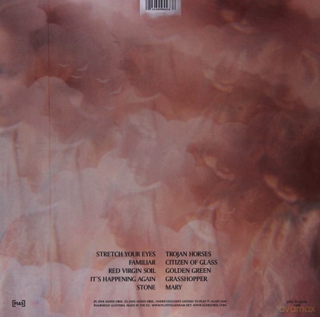 Agnes Obel: Citizen Of Glass [Winyl]