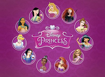 Disney Princess 11 Filmów (wydanie kolekcjonerskie) [BOX] [11DVD]