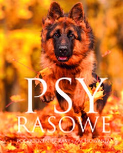 Psy rasowe. Pochodzenie Rasy Zachowania - Izabela Przeczek [KSIĄŻKA]