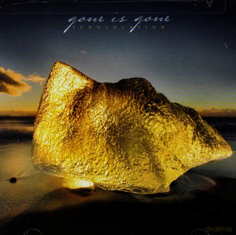 Gone Is Gone: Echolocation [CD]