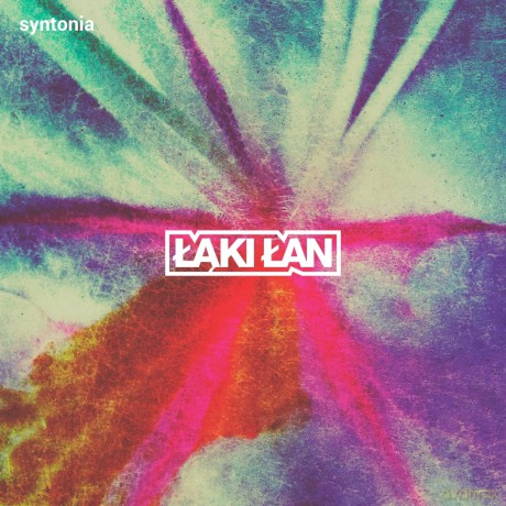 Łąki Łan: Syntonia [CD]