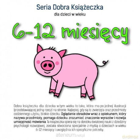Dobra książeczka 6-12 miesięcy - Agnieszka Starok [KSIĄŻKA]