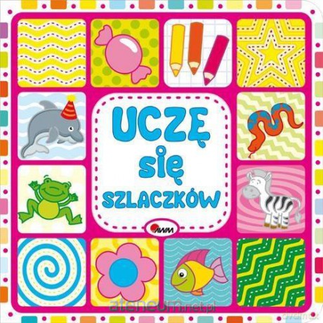 Uczę się szlaczków [KSIĄŻKA]