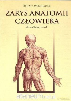 Zarys anatomii człowieka - Renata Woźniacka [KSIĄŻKA]
