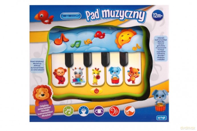 E-edu pad Organki