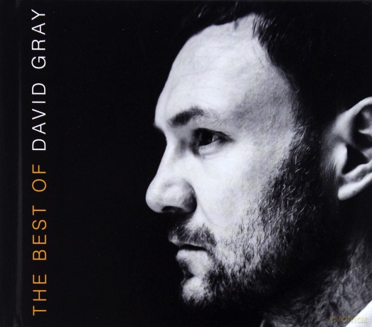 David Gray: The Best Of (Limited Edition) [2CD]