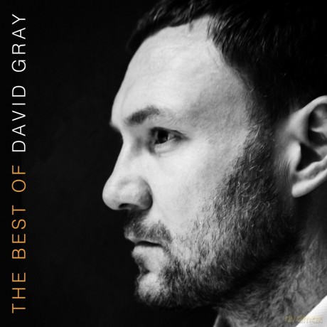 David Gray: The Best Of [2xWinyl]