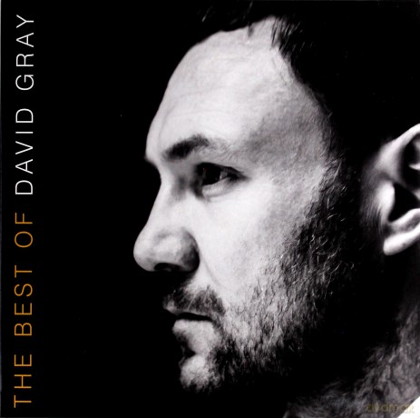 David Gray: The Best Of [2xWinyl]
