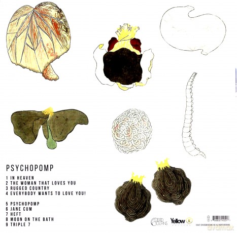 Japanese Breakfast: Psychopomp [Winyl]