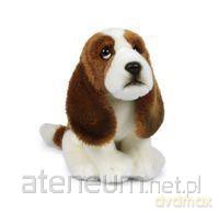 Basset 18 cm