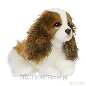 King Charles Spaniel 20 cm