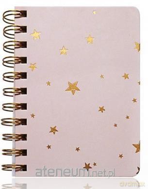Notes A6/100K