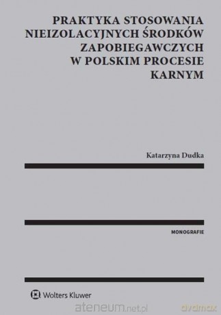 Praktyka stosowania nieizolacyjnych środków - Katarzyna Dudka [KSIĄŻKA]
