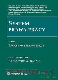 System prawa pracy (Tom 6) Procesowe prawo pracy [KSIĄŻKA]