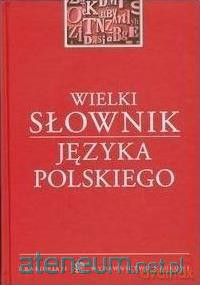 Wielki słownik języka polskiego [KSIĄŻKA]