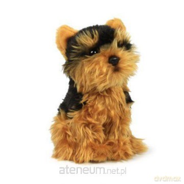 Yorkshire Terrier 18 cm