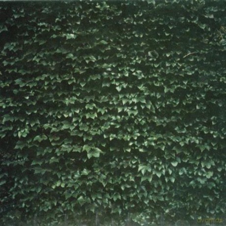 Tarentel: The Order Of Things (digipack) [CD]