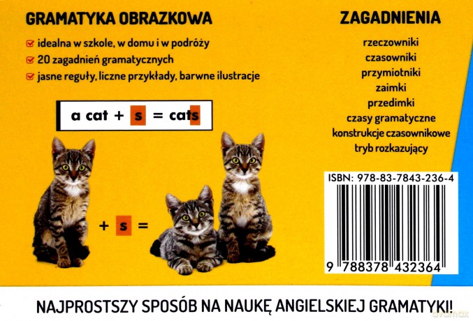 Gramatyka obrazkowa. Język angielski fiszki - Patrycja Wojsyk [KSIĄŻKA]
