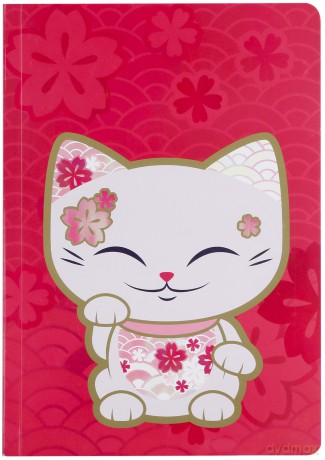 Notes B6 linia cat czerwony
