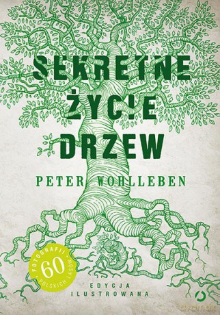 Sekretne życie drzew - Peter Wohlleben [KSIĄŻKA]