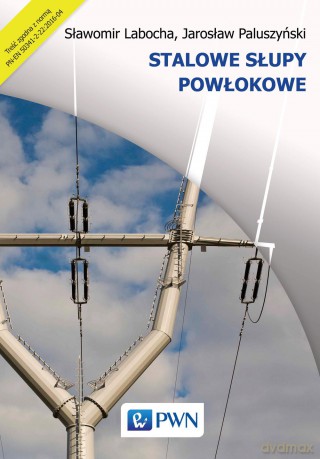 Stalowe słupy powłokowe - Sławomir Labocha [KSIĄŻKA]