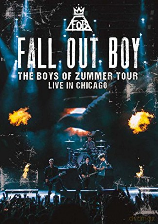 Fall out Boy: Boys of Zummer [DVD]