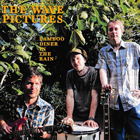The Wave Pictures: Bamboo Diner In The Rain [CD]