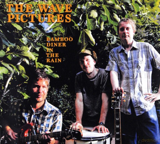 The Wave Pictures: Bamboo Diner In The Rain [CD]
