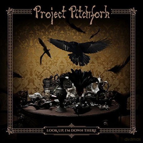 Project Pitchfork: Look Up I'm Down Here [CD]