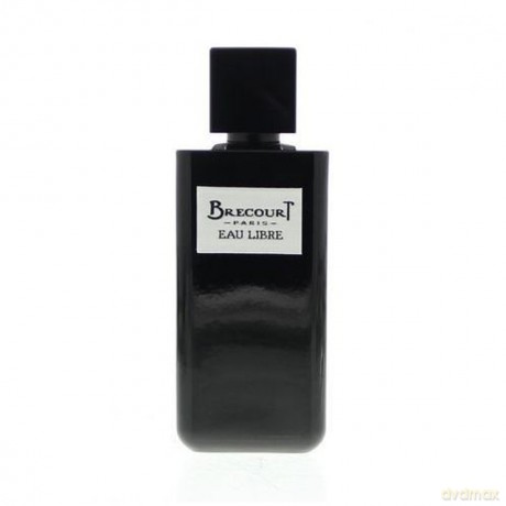 Brecourt Eau Libre for Men Woda perfumowana 100 ml spray