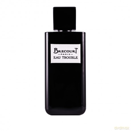 Brecourt Eau Trouble for Women Woda perfumowana 100 ml spray