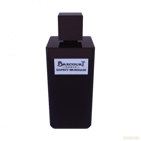 Brecourt Esprit Mondain for Men Woda perfumowana 100 ml spray