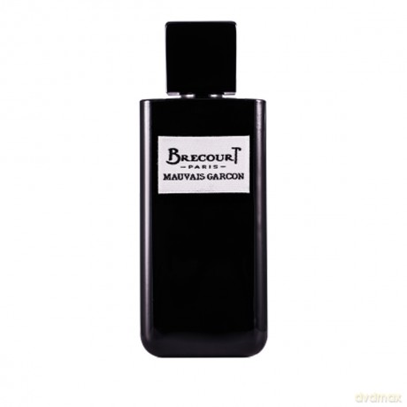 Brecourt Mauvais Garcon for Men Woda perfumowana 100 ml spray