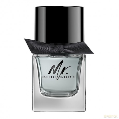 Burberry Mr. Burberry woda toaletowa 30 ml spray