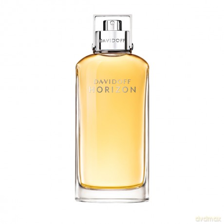 Davidoff Horizon woda toaletowa 40 ml spray