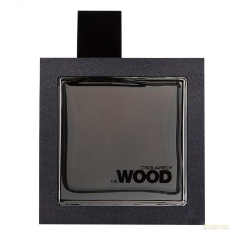 Dsquared2 He Wood Silver Wind Wood woda toaletowa 50 ml spray