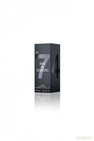 Iceberg Eau de Iceberg Pour Homme Woda toaletowa 100 ml spray