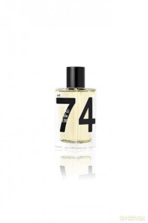 Iceberg Eau de Iceberg Pour Homme Woda toaletowa 100 ml spray