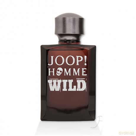 JOOP! Homme Wild woda toaletowa 200 ml spray