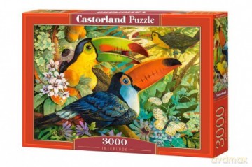 CASTOR 3000 el. Interlude [PUZZLE]