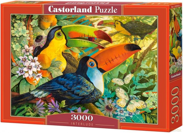 CASTOR 3000 el. Interlude [PUZZLE]