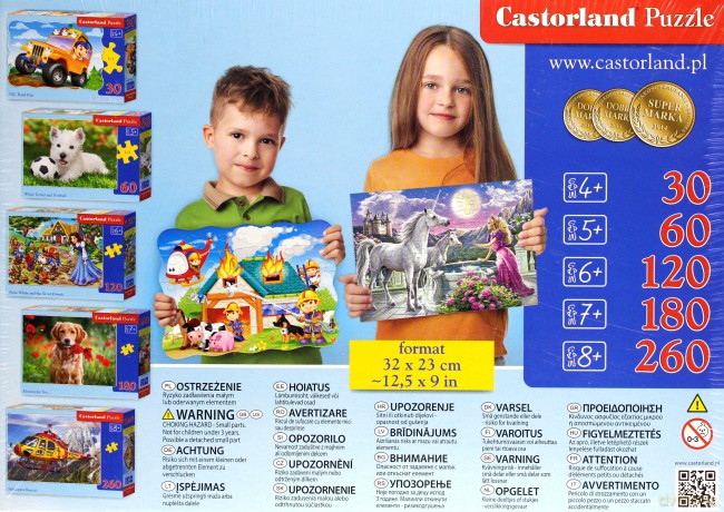 CASTOR 260 el. Duże koty [PUZZLE]