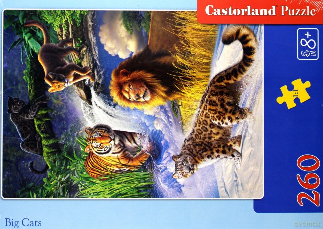 CASTOR 260 el. Duże koty [PUZZLE]