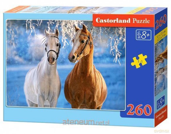 CASTOR 260 el. Zimowe konie [PUZZLE]