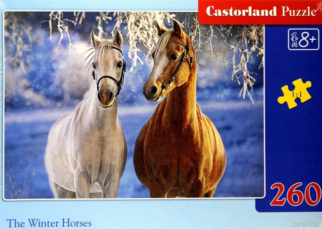 CASTOR 260 el. Zimowe konie [PUZZLE]