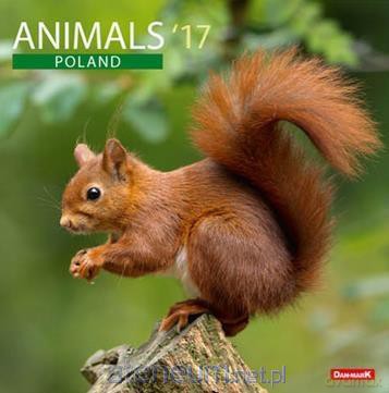 Kalendarz 2017 13PL 300x300 Animals PL [KALENDARZ]