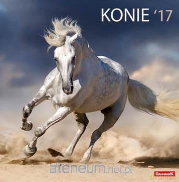 Kalendarz 2017 13PL 300x300 Konie [KALENDARZ]